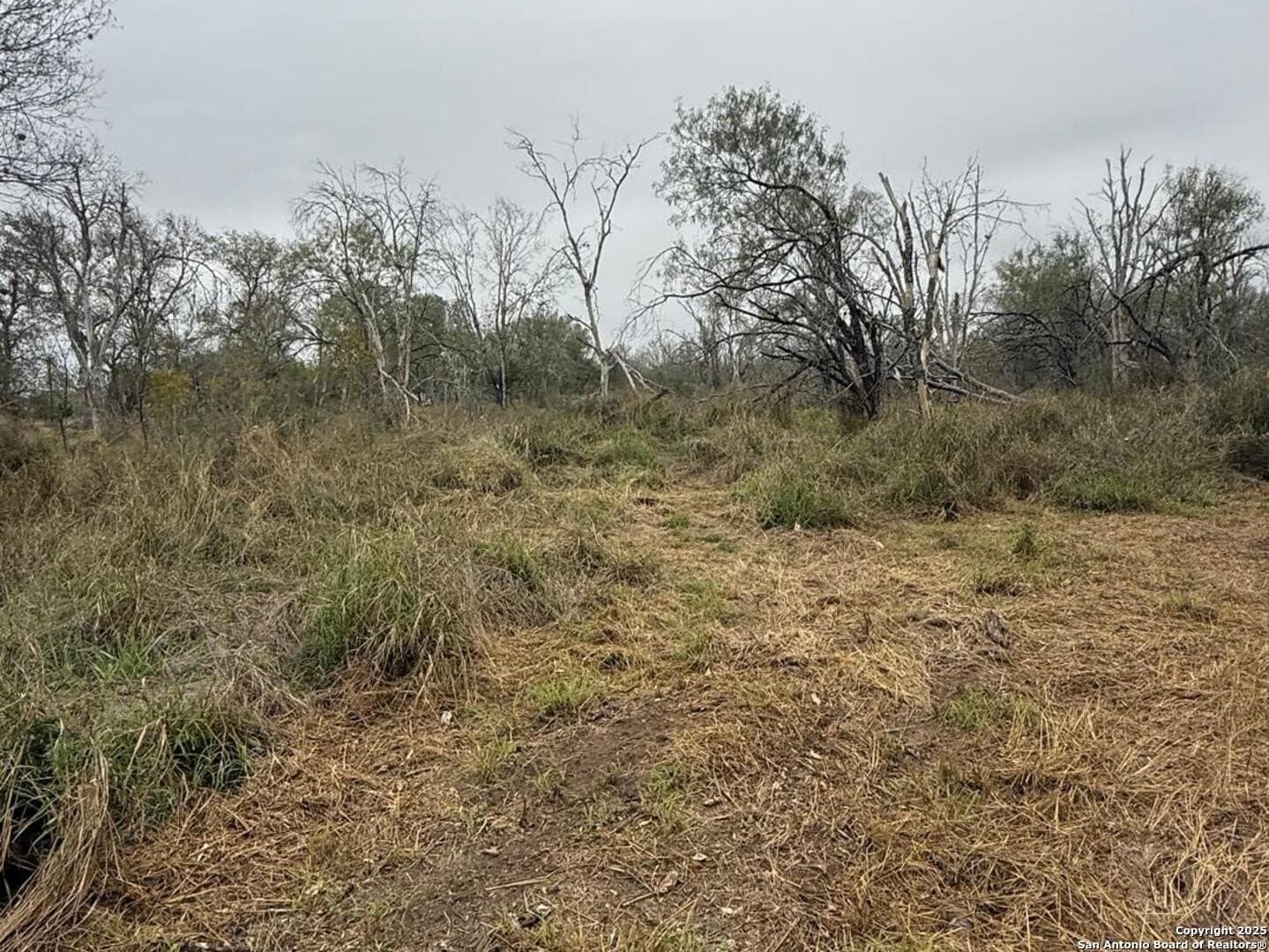 7.81 acres in Bexar County - photo 14