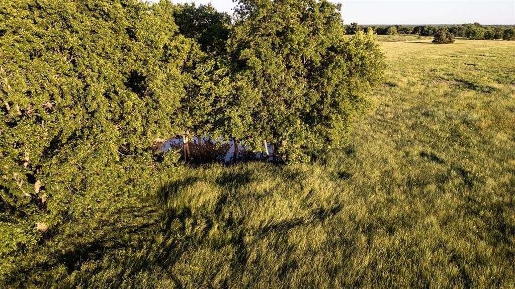 22.76 acres in Hunt County - photo 12