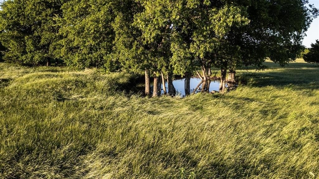 22.76 acres in Hunt County - photo 15