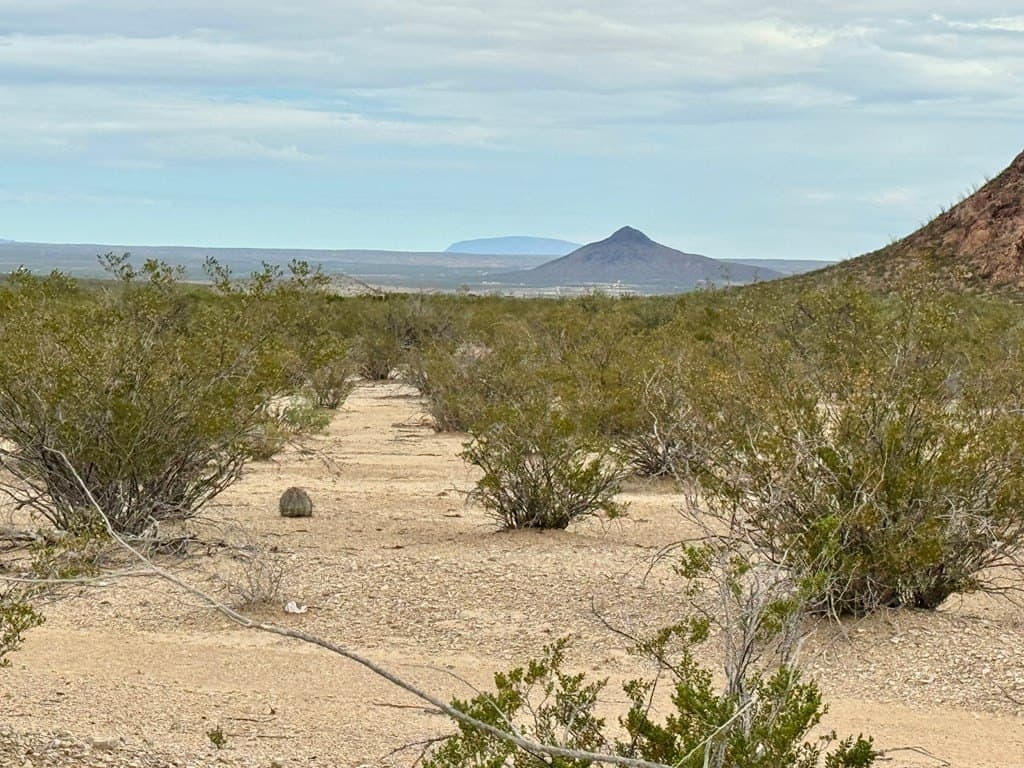 5 acres in Brewster County - photo 5