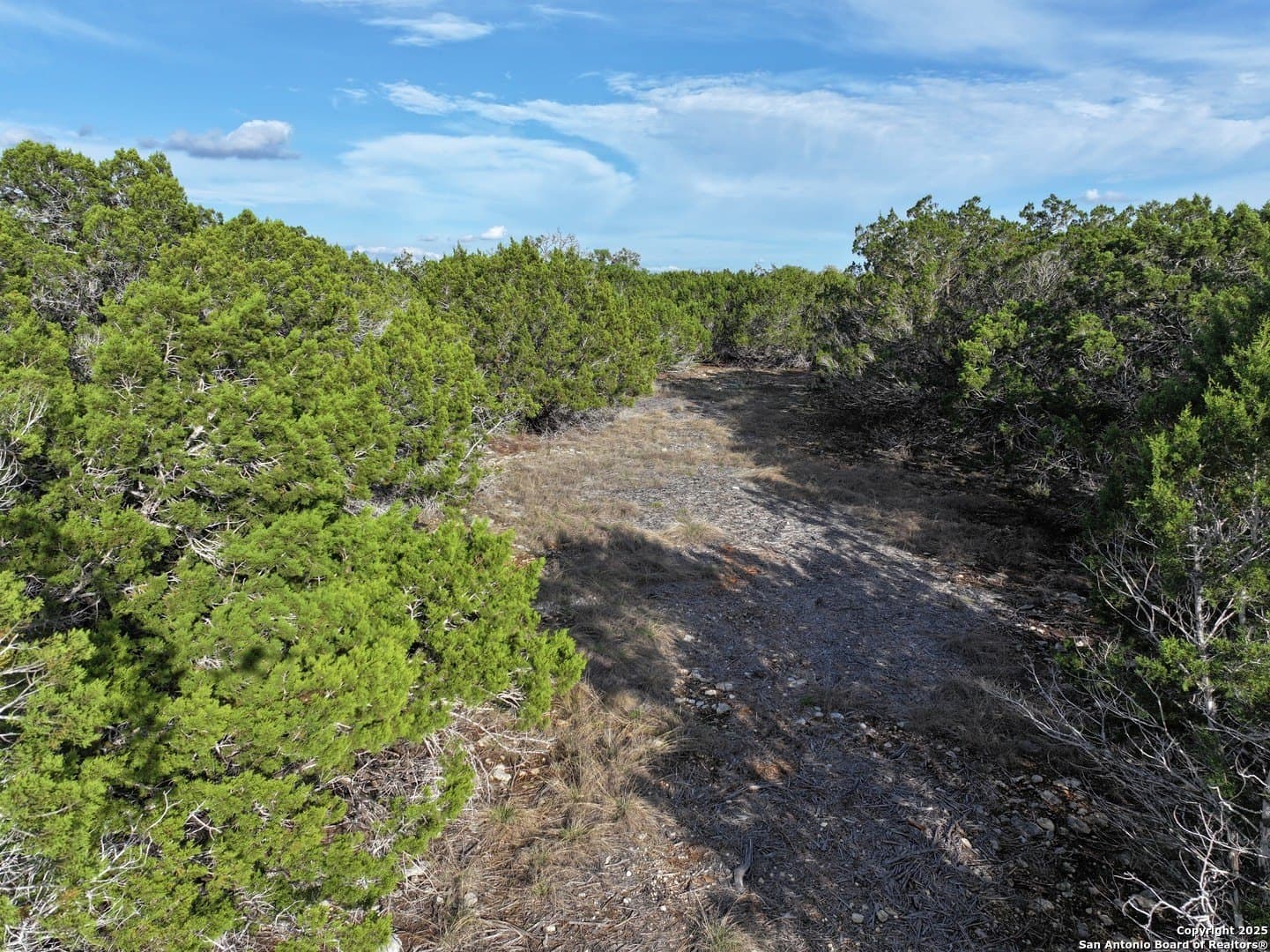 5.24 acres in Bandera County - photo 23