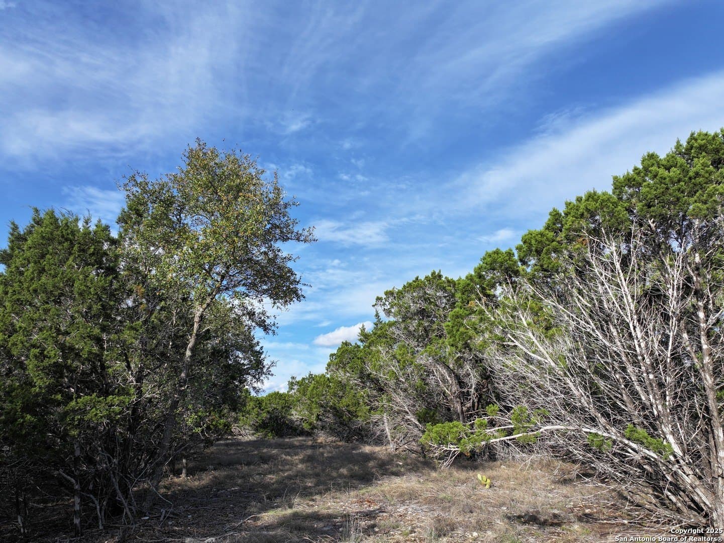 5.24 acres in Bandera County - photo 13
