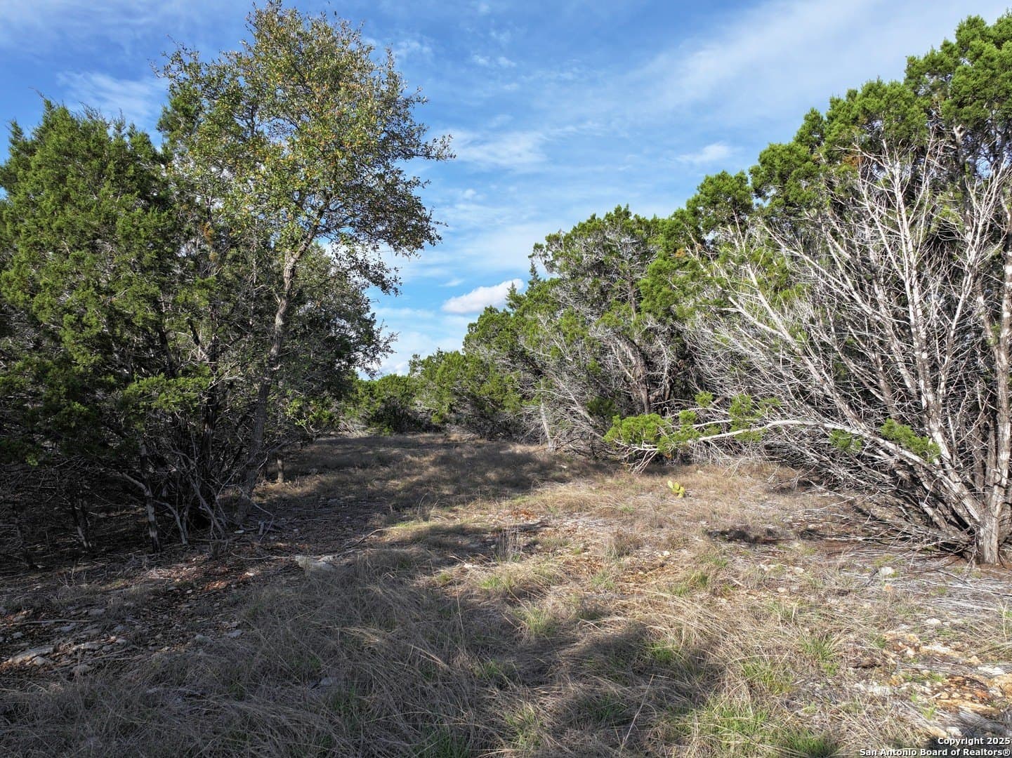 5.24 acres in Bandera County - photo 14