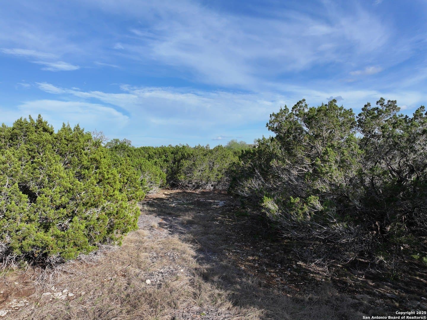 5.24 acres in Bandera County - photo 22