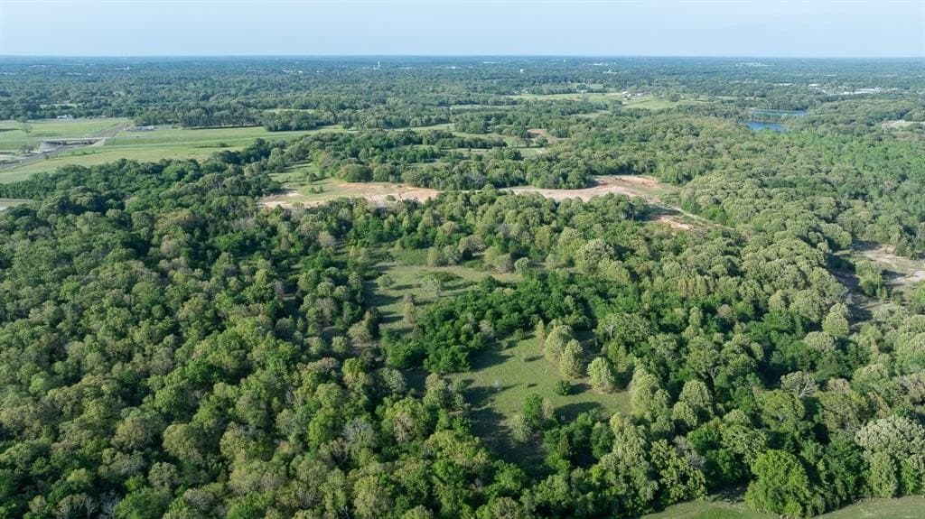 257 acres in Henderson County - photo 14