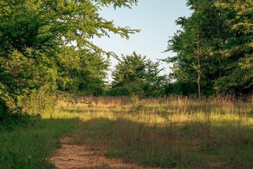 257 acres in Henderson County - photo 32