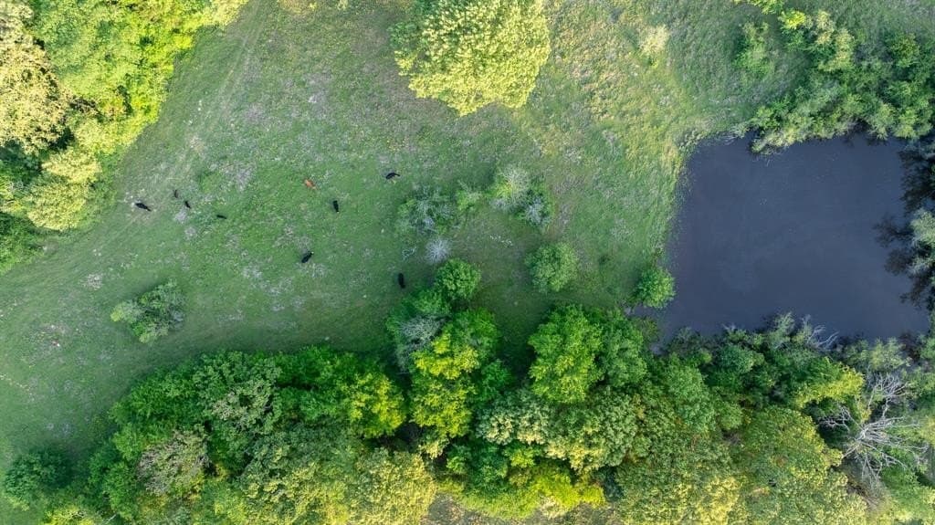 257 acres in Henderson County - photo 21