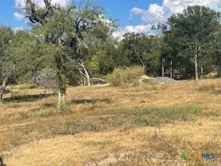 6.8 acres in Comal County - photo 6