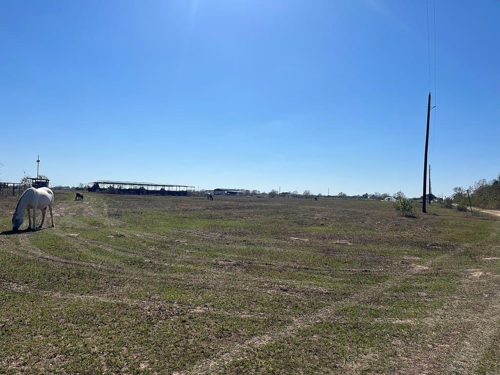 30.44 acres in Austin County - photo 7