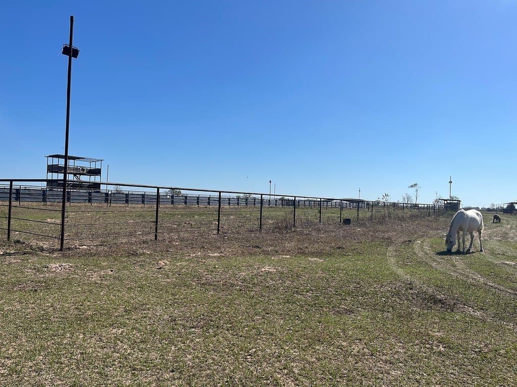 30.44 acres in Austin County - photo 6
