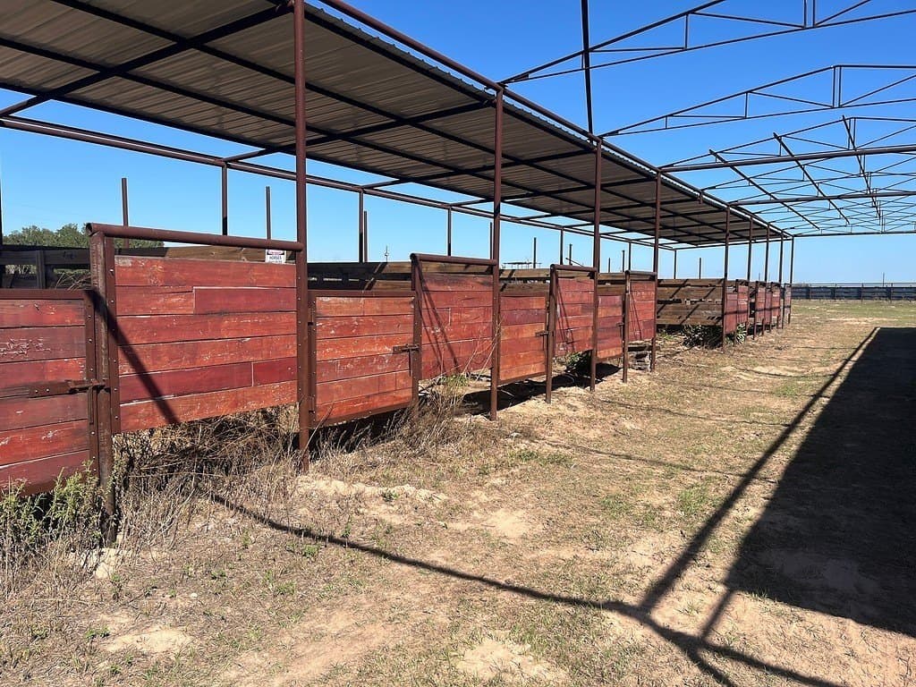 30.44 acres in Austin County - photo 4