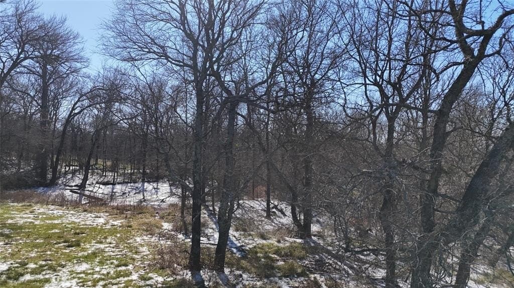 1.01 acres in Navarro County - photo 12