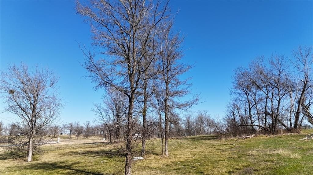 1.01 acres in Navarro County - photo 6