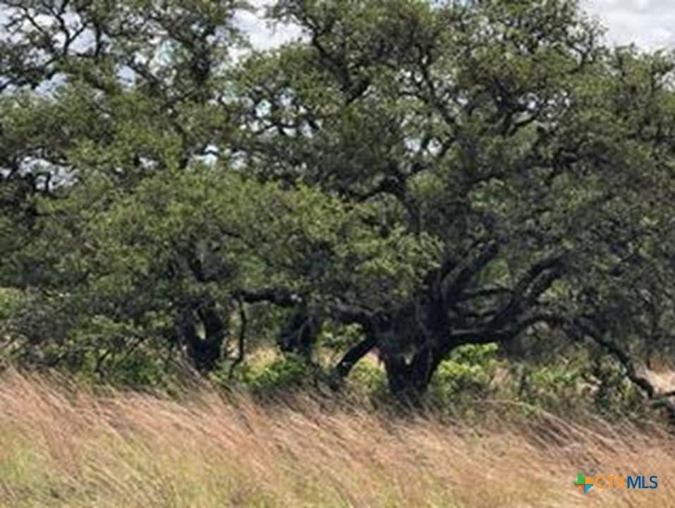 5.88 acres in Blanco County - photo 2