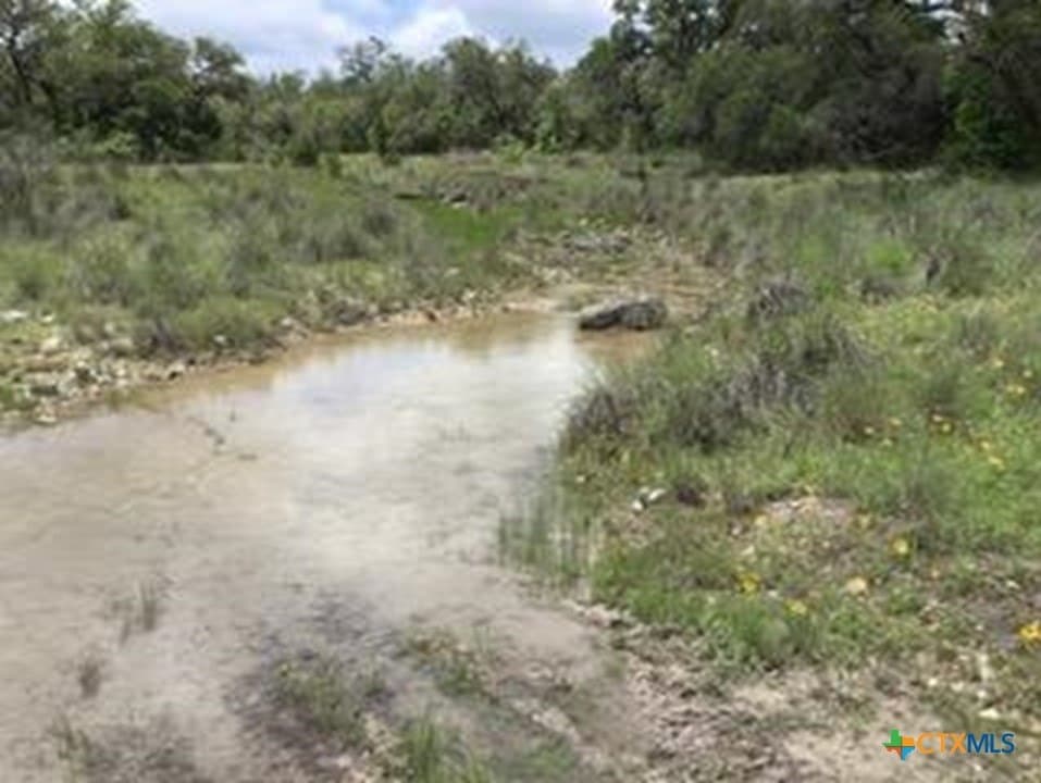 5.88 acres in Blanco County - photo 6