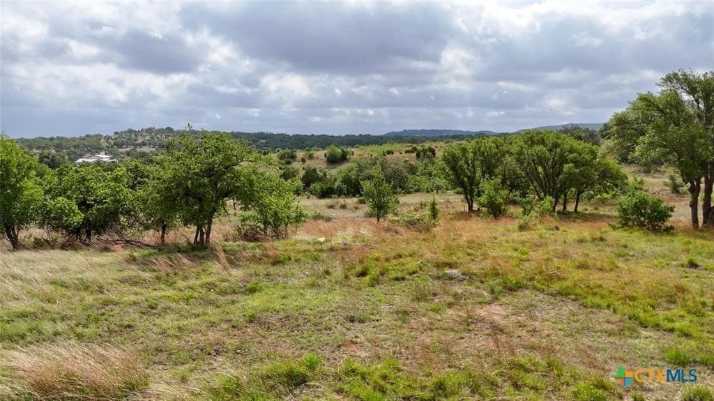 5.88 acres in Blanco County - photo 11