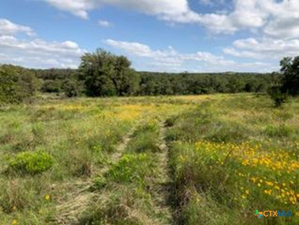 5.88 acres in Blanco County - photo 4