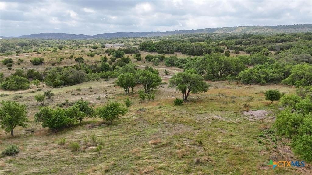 5.88 acres in Blanco County - photo 8