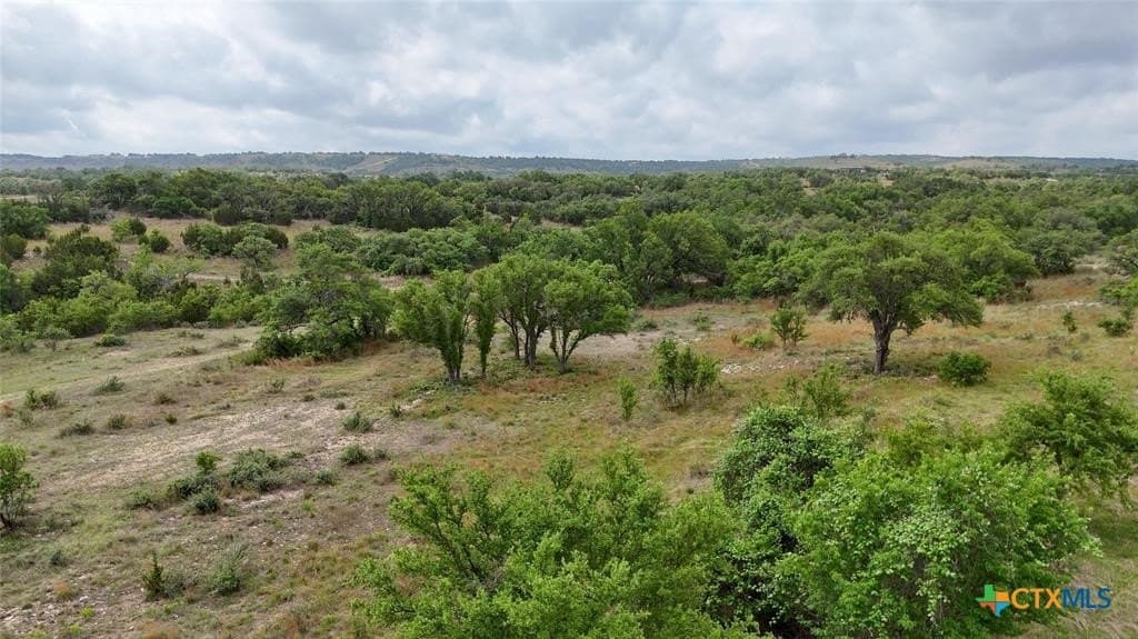 5.88 acres in Blanco County - photo 9