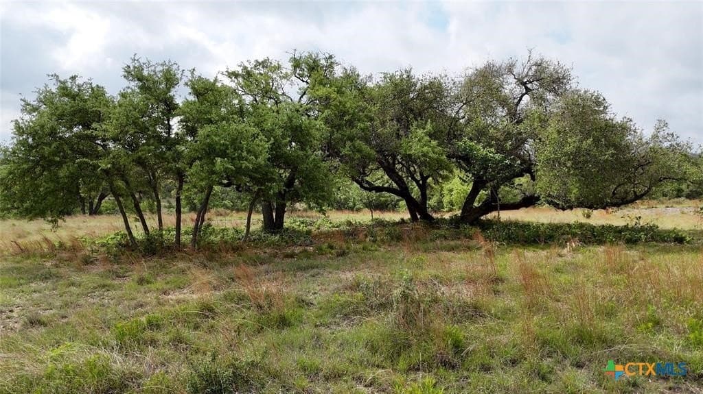 5.88 acres in Blanco County - photo 13