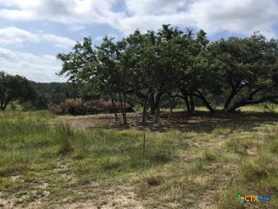 5.88 acres in Blanco County - photo 3