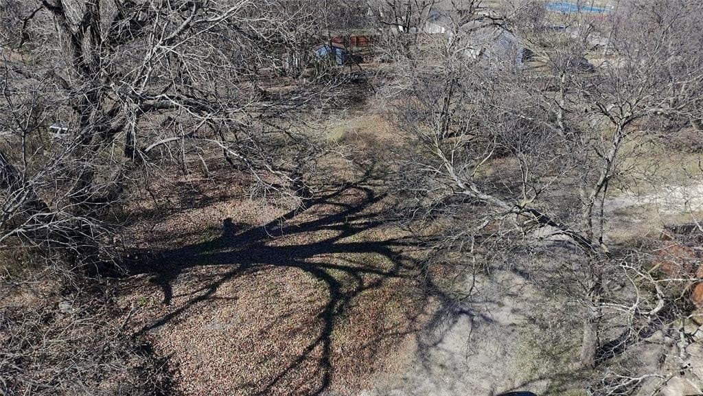 0.25 acres in Dallas County - photo 10