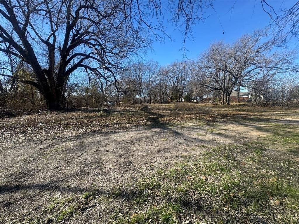 0.25 acres in Dallas County - photo 15