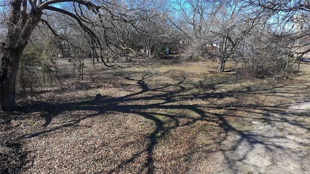0.25 acres in Dallas County - photo 3