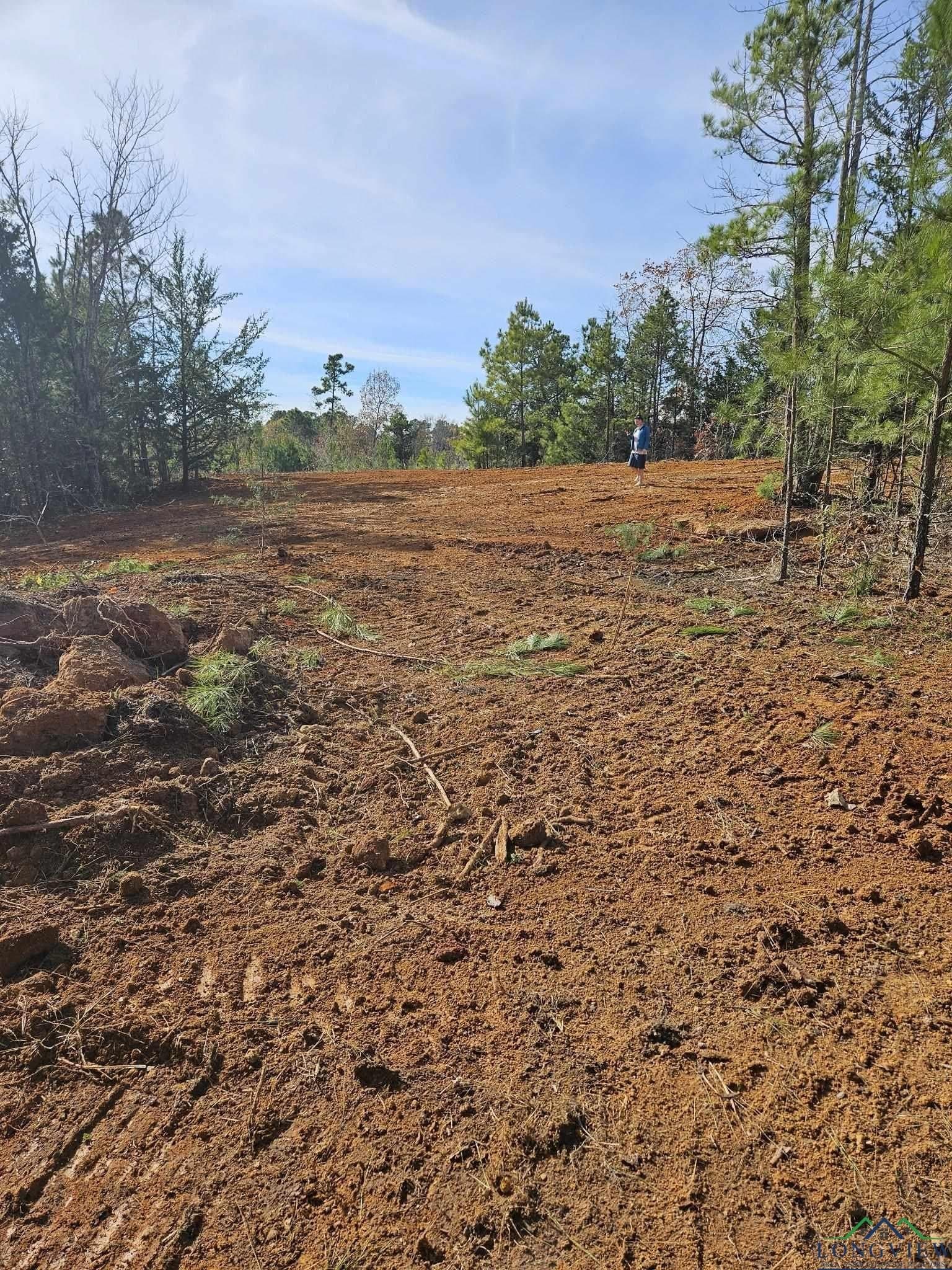 21.2 acres in Upshur County - photo 12