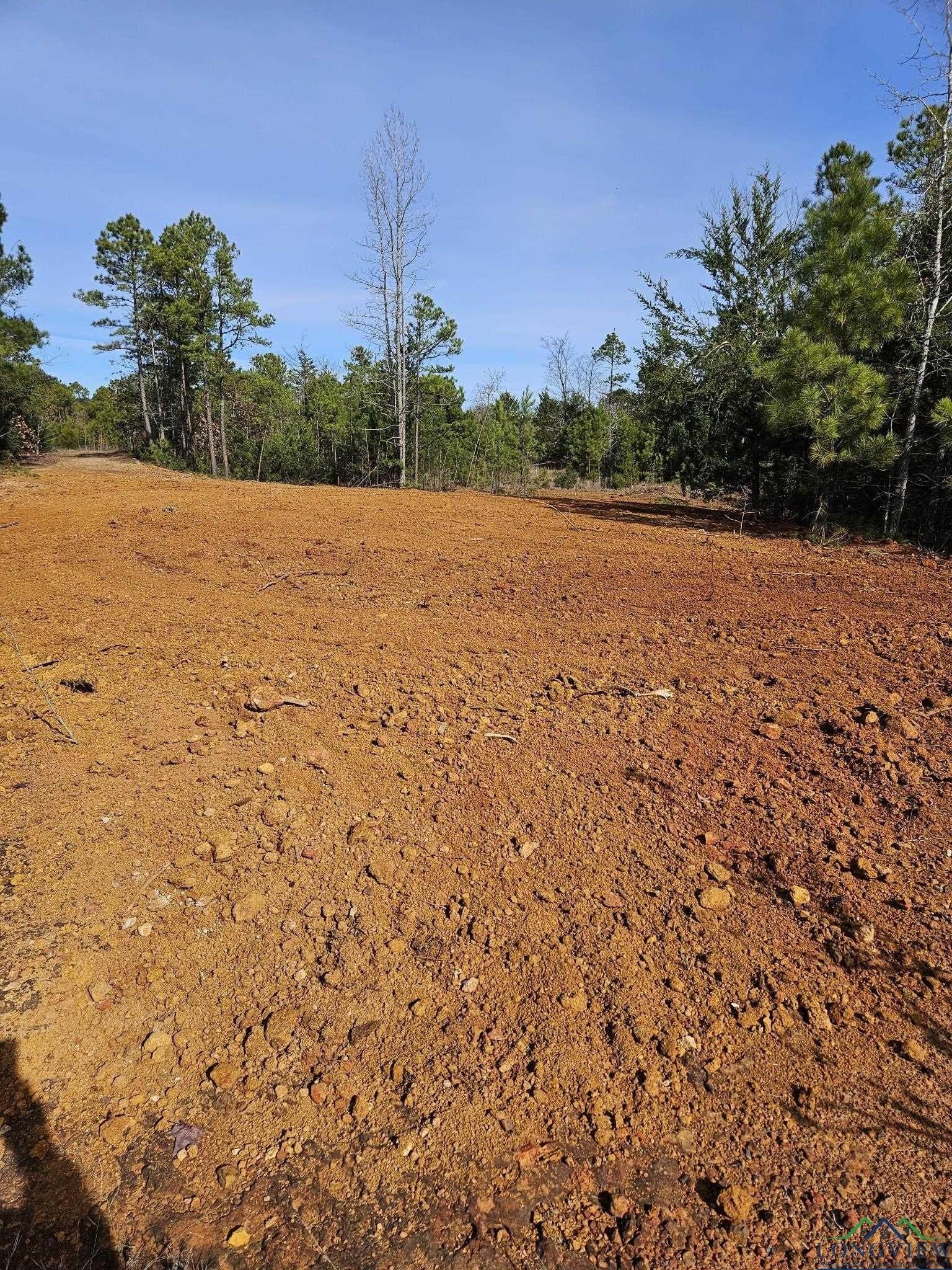 21.2 acres in Upshur County - photo 13
