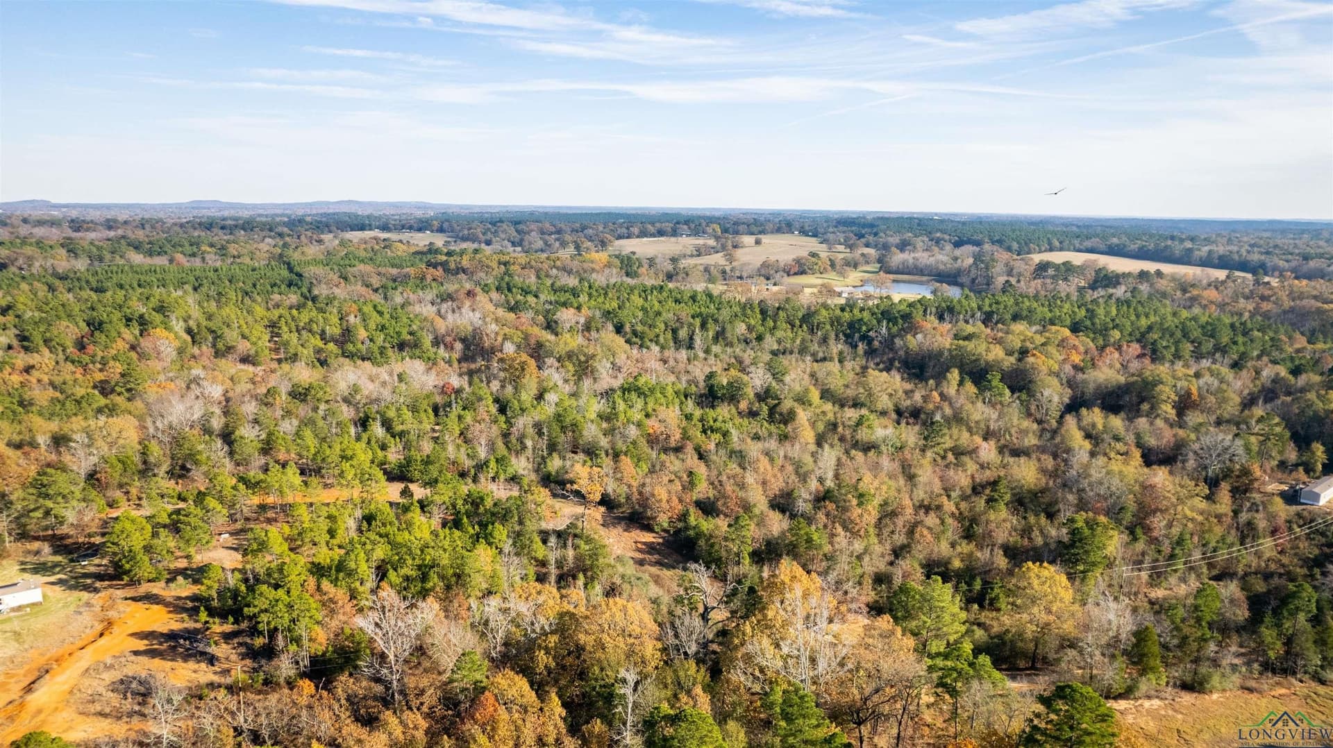 21.2 acres in Upshur County - photo 3