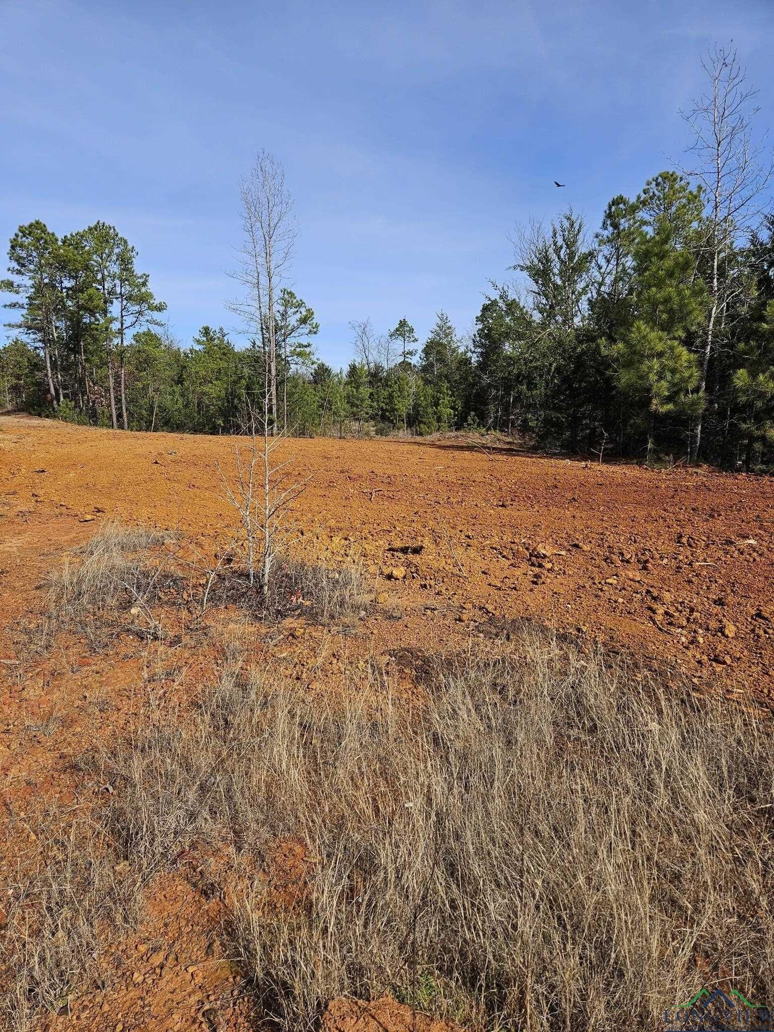 21.2 acres in Upshur County - photo 11