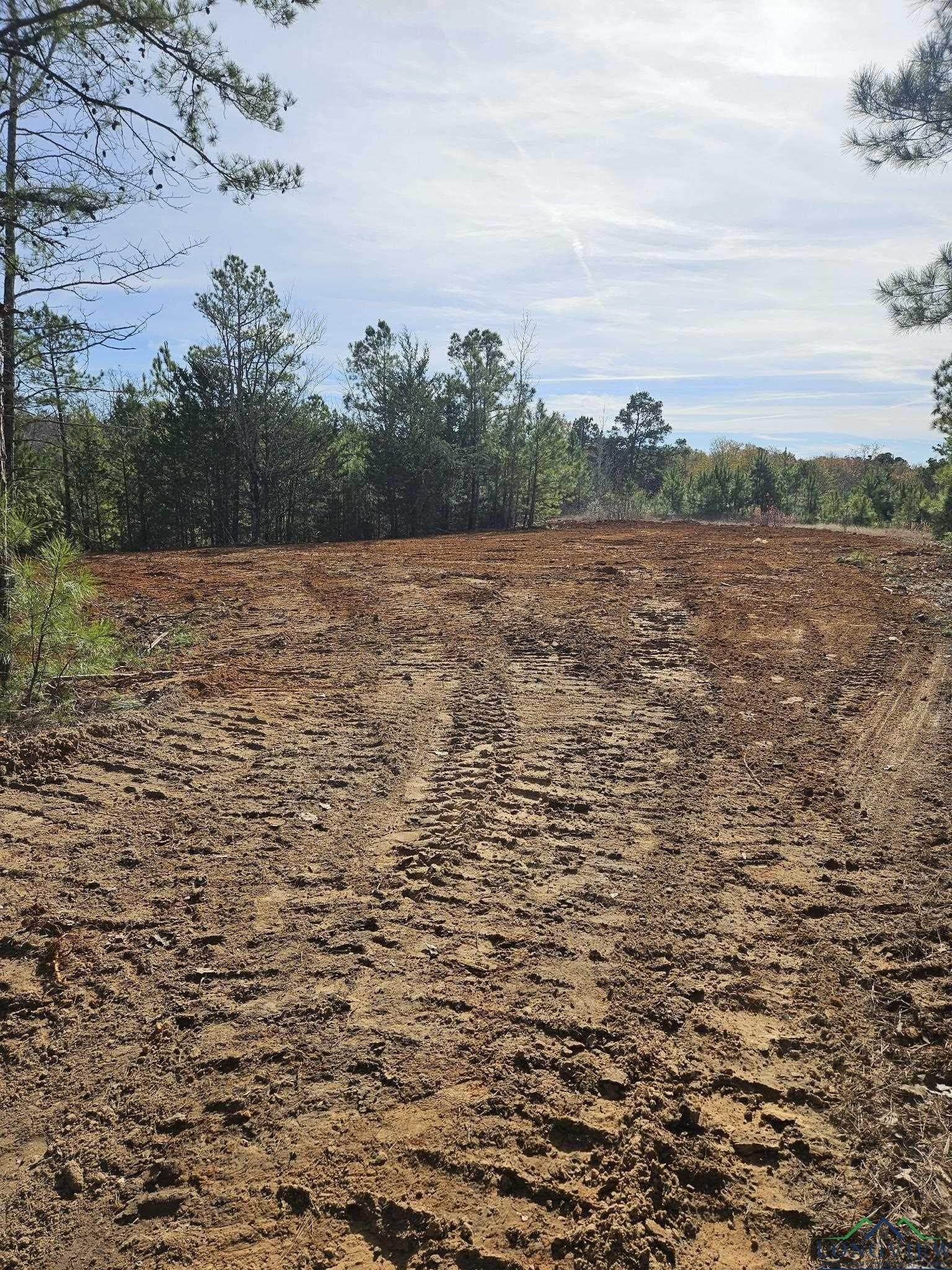 21.2 acres in Upshur County - photo 10