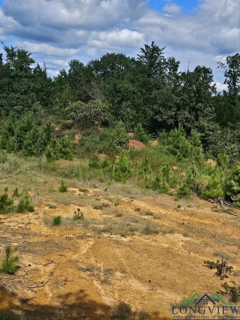 21.2 acres in Upshur County - photo 8