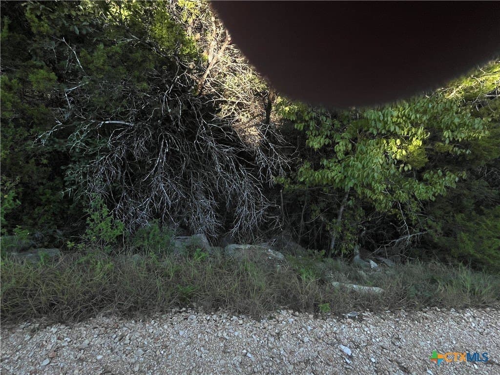 0.8 acres in Comal County - photo 3