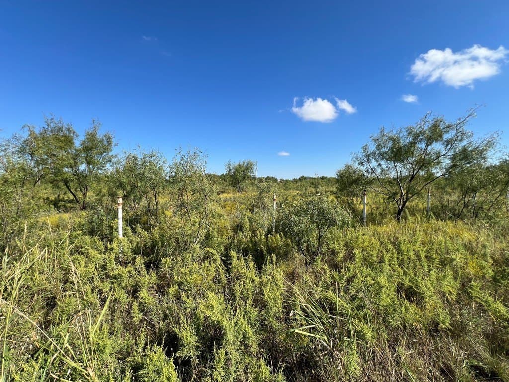 0.91 acres in Tom Green County - photo 2