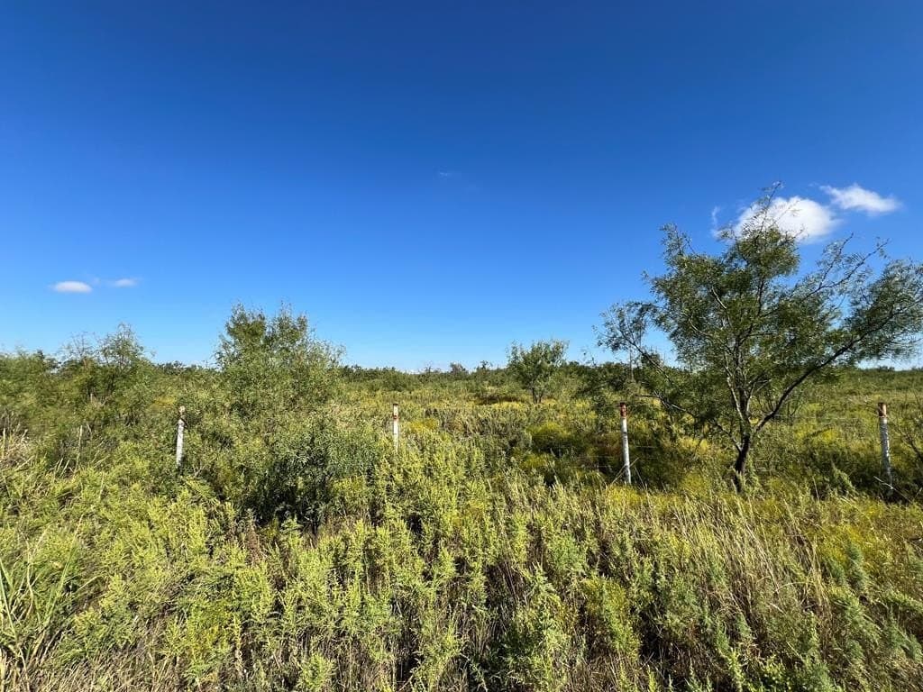 8502 Evergreen Lane lot: 14
