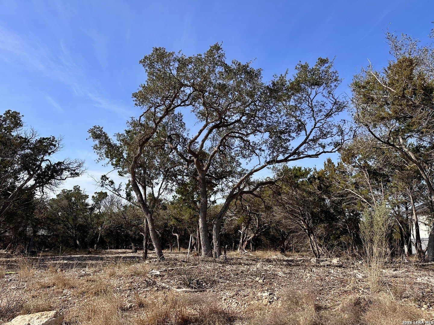 1.56 acres in Comal County - photo 3