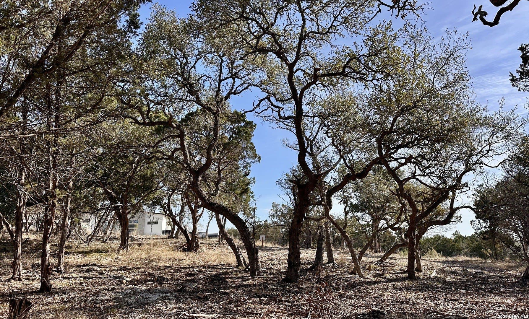 1.56 acres in Comal County - photo 8