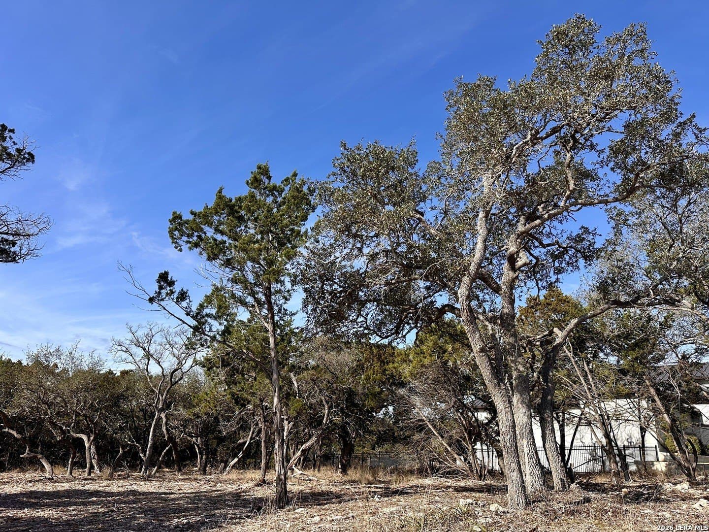 1.56 acres in Comal County - photo 4