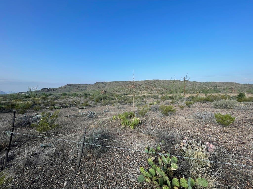 12.42 acres in Brewster County - photo 12