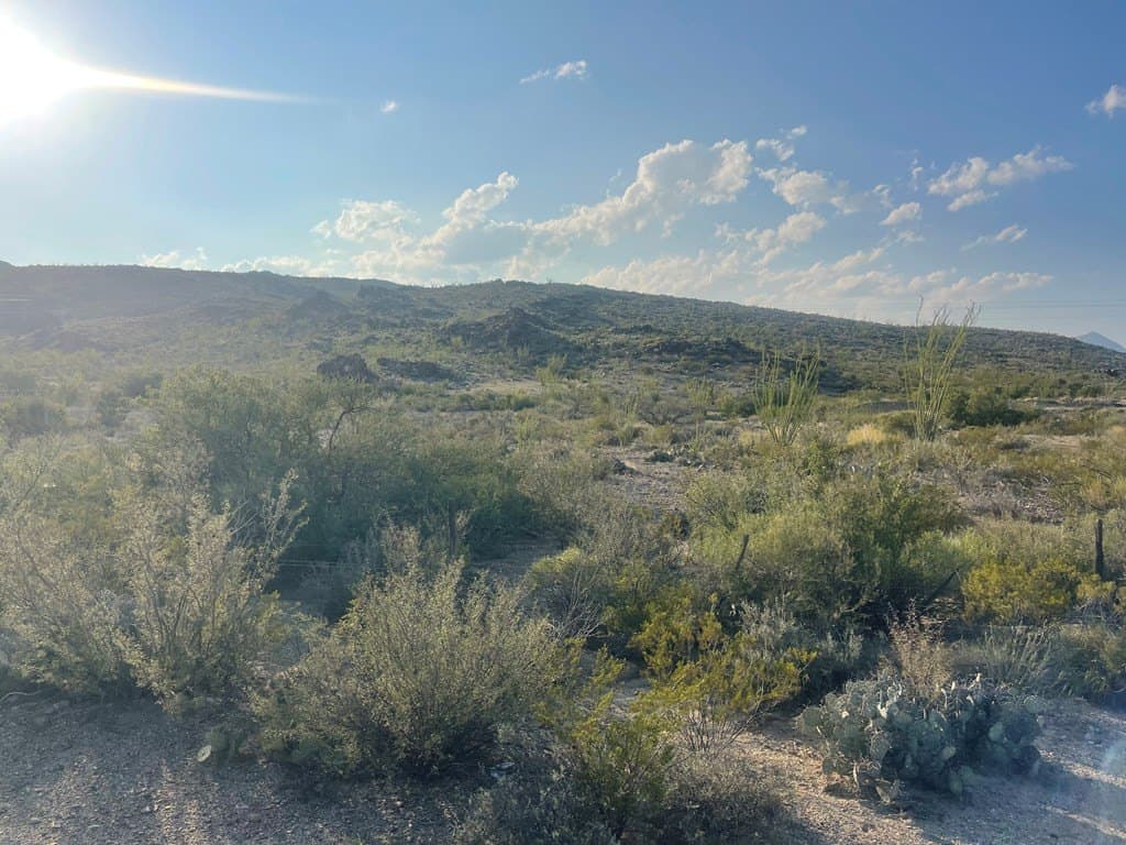 12.42 acres in Brewster County - photo 17