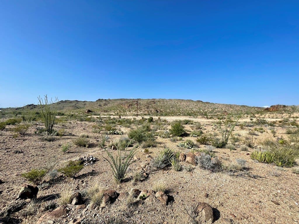 12.42 acres in Brewster County - photo 4
