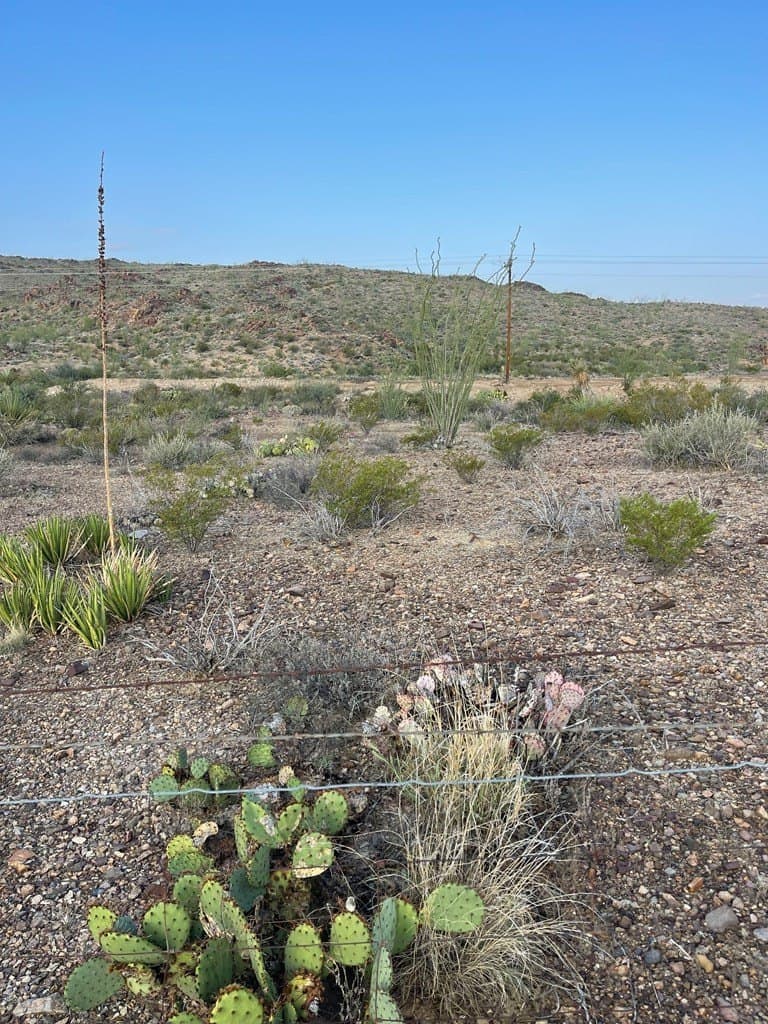 12.42 acres in Brewster County - photo 13