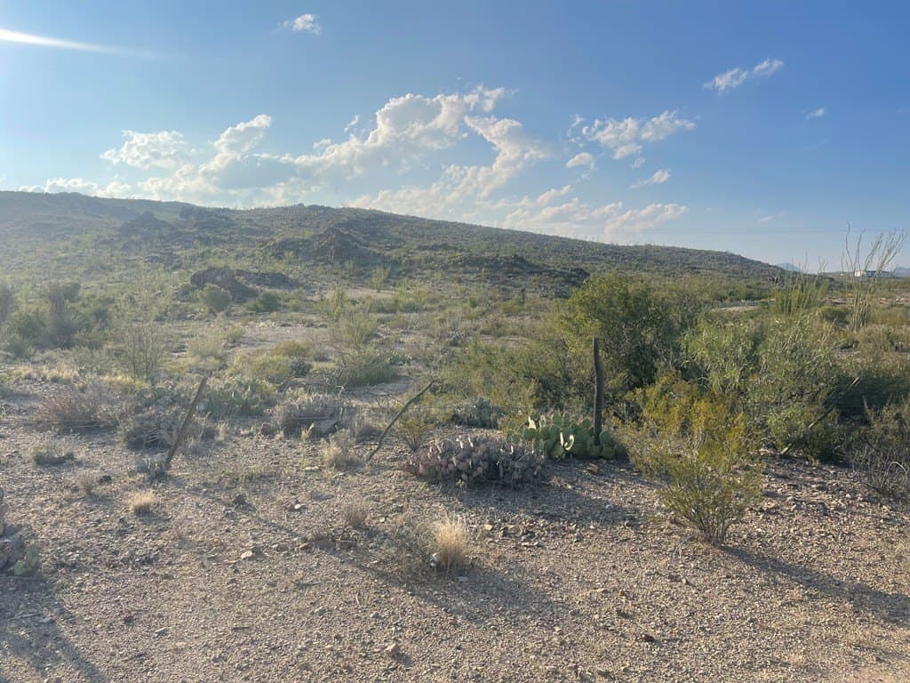 12.42 acres in Brewster County - photo 22