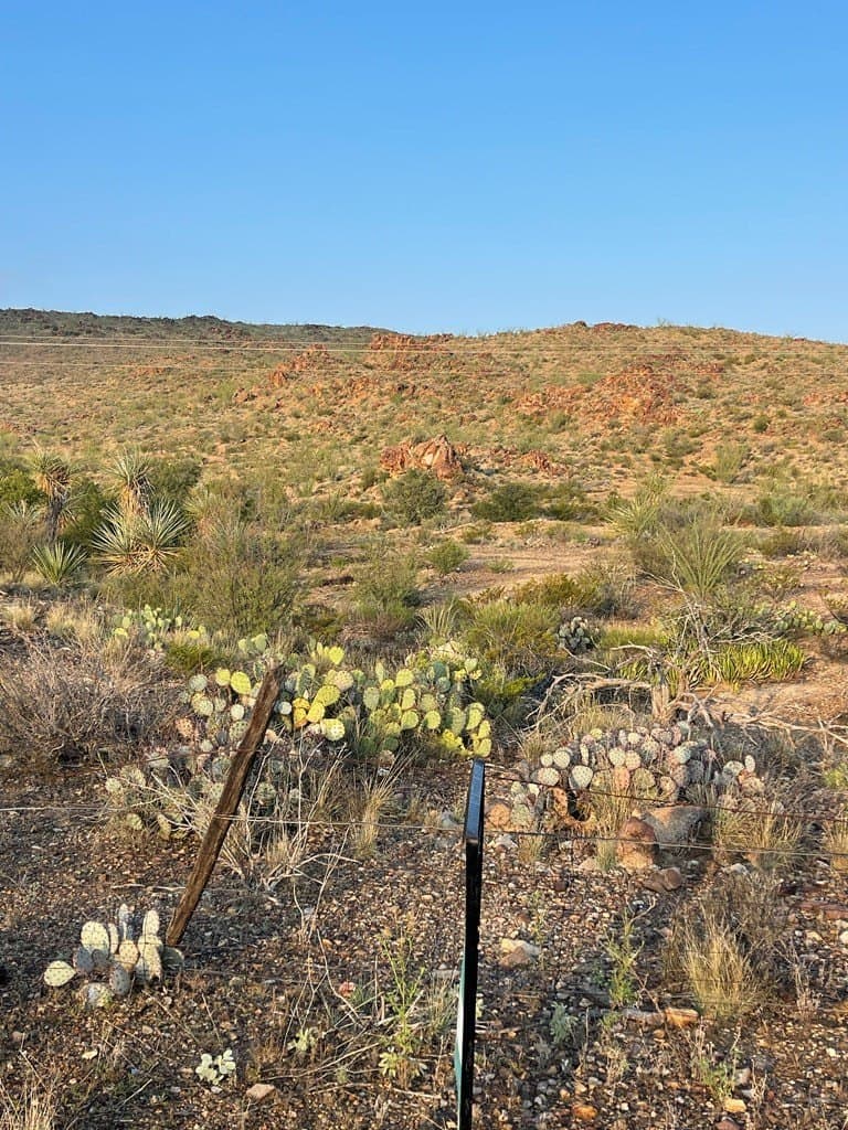 12.42 acres in Brewster County - photo 14
