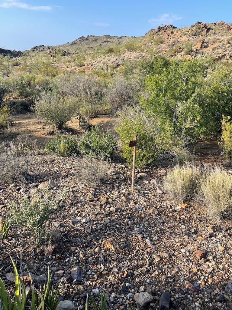 12.42 acres in Brewster County - photo 11