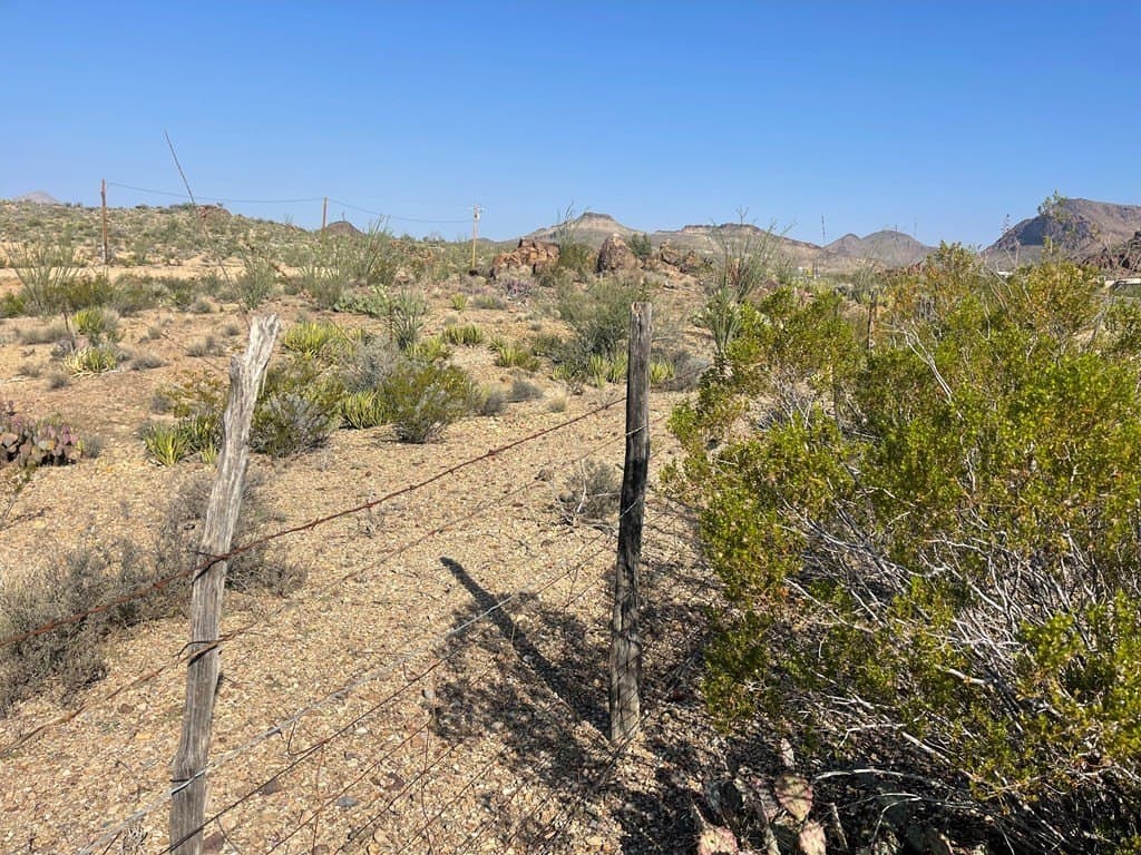 12.42 acres in Brewster County - photo 8