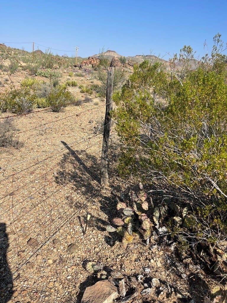 12.42 acres in Brewster County - photo 6