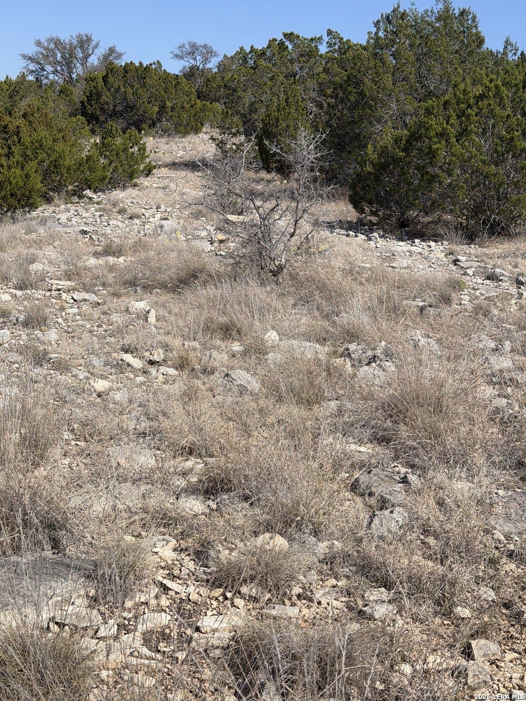 21.94 acres in Edwards County - photo 28